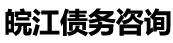 皖江債務(wù)公司